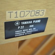 1987 Yamaha P22 studio piano, oak - Upright - Studio Pianos